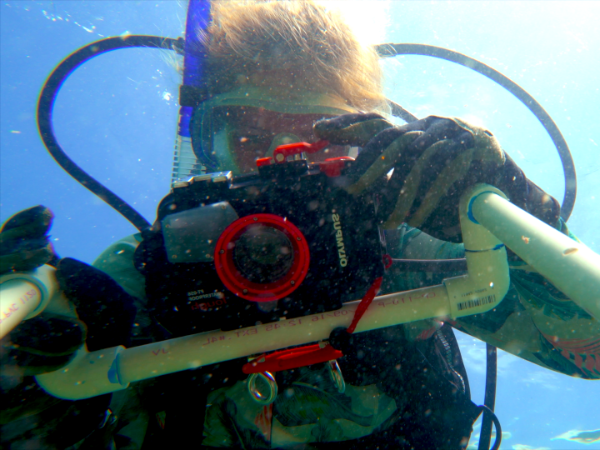 Marine biology student taking pictures of coral under water.